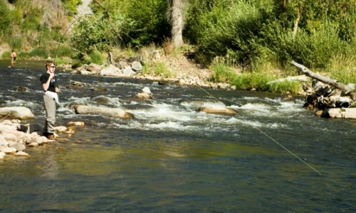 Provo River Utah Fishing