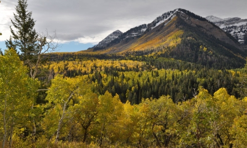 Wasatch Mountains Alpine Loop Utah