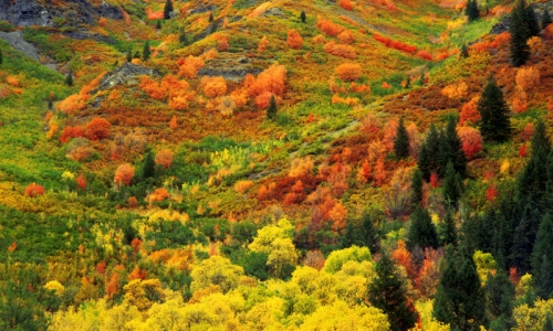 Provo Canyon Utah Fall Colors