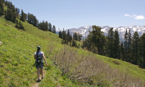 Wastach Range Utah Hiking
