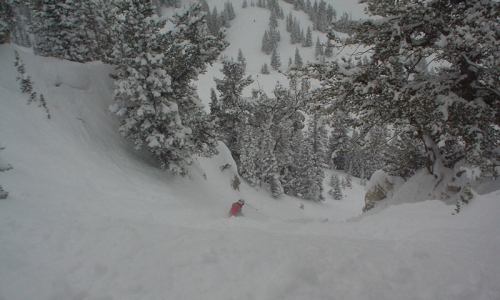 Snowbird Ski Resort
