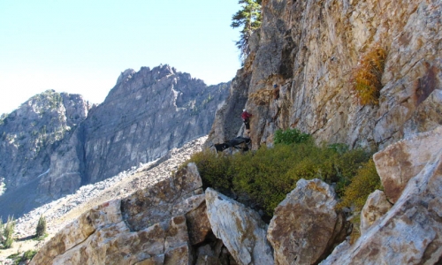 Albion Basin Utah Climbing