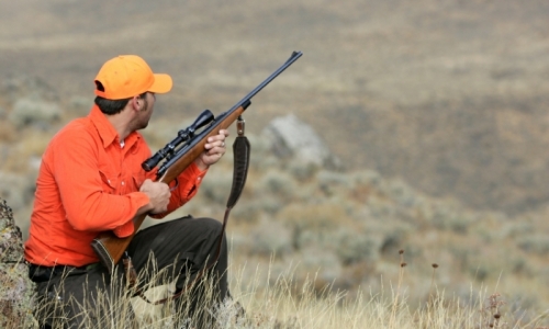 Park City Utah Hunting