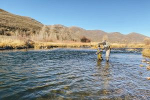 Park City Fly Fishing Guides