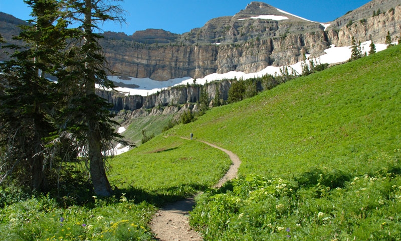 Hiking Trail near Mount Timpanogos