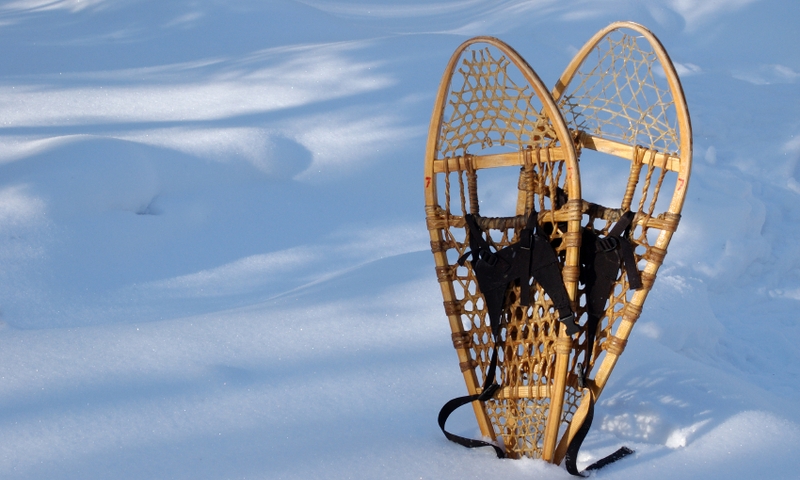 Snowshoeing Winter