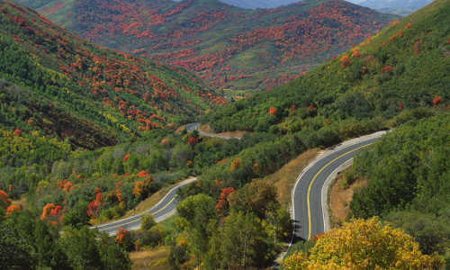Scenic Drives