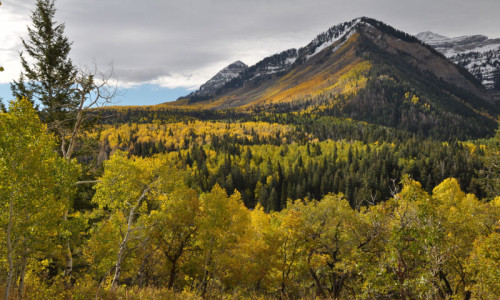 Wasatch / Cache National Forest