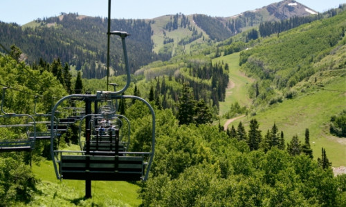 Gondola Rides