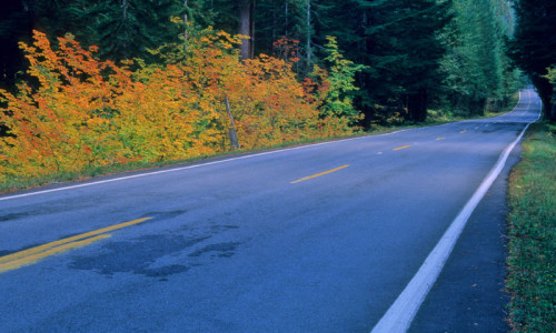 Car / Vehicle Rentals